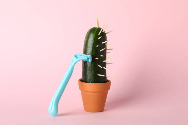 istock Cactus cucumber in pot and razor on pink background, space for text 1206242485