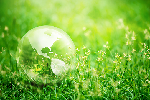 Earth glass on green grass in sunlight, Love and Save the World for the Next Generation concept, Earth day concept