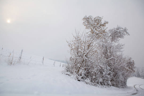 Snowy Winter Landscape. Seasonal Photography. stock photo
