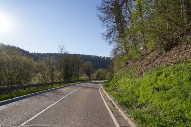 istock Beautiful spring landscape with a road between trees, sunny day and blue sky in the German forest Schwarzwa 1206248789