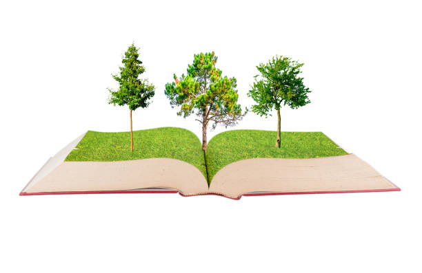 istock Open book covered with grass and trees isolated on white background 1206248900