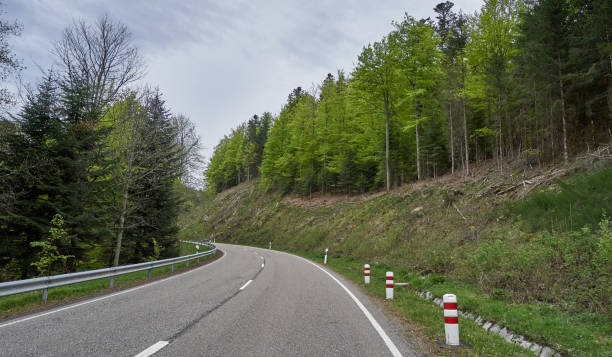 istock Beautiful asphalt road with turns through the Schwarzwald forest in Germany 1206248909