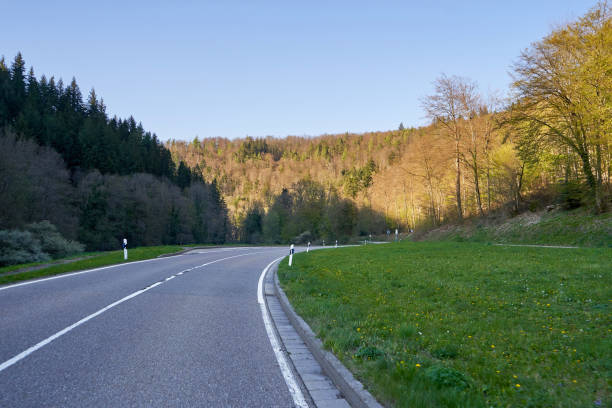 istock Beautiful spring landscape with a road between trees, sunny day and blue sky in the German forest Schwarzwald 1206248934