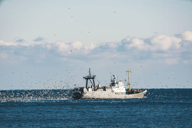 barco de pesca en el mar. - sunny day sunlight seagull fotografías e imágenes de stock