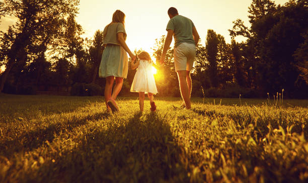 Family walk with a child at sunset on the nature Back view.Family walk with a child at sunset with sunlight on the nature in the summer. Concept happy parents. Children's Day childrens day photos stock pictures, royalty-free photos & images