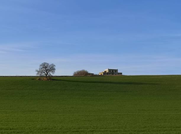 istock green Molise countryside in spring 1206259674