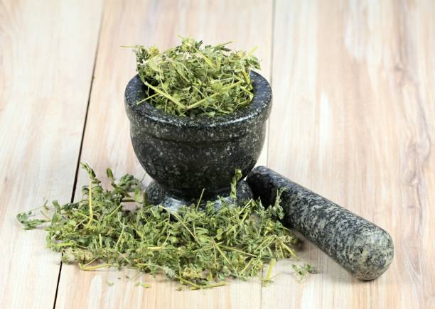 istock Dried Tribulus terrestris in the mortar 1206261887