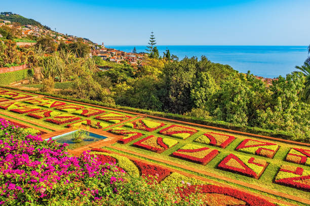 botanischer garten in funchal, madeira - formal garden summer water park stock-fotos und bilder