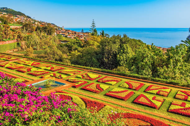 Botanical garden in Funchal, Madeira stock photo