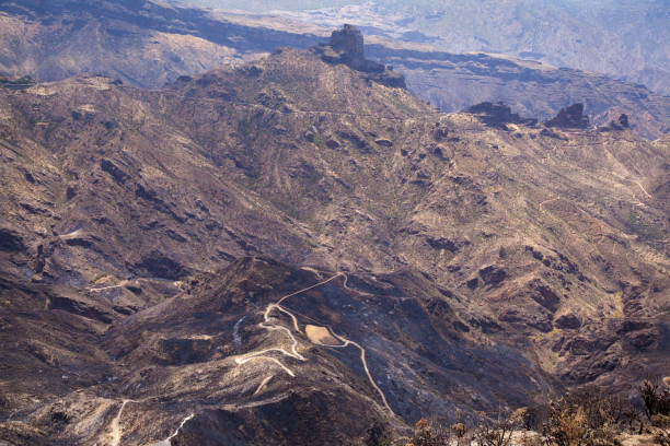 istock Gran Canaria after wildfire of August 2019 1206266929