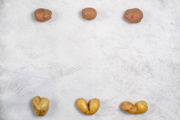 灰色の背景に異なる形状の卑劣なジャガイモ、コピースペース - heart shape raw potato food individuality ストックフォトと画像