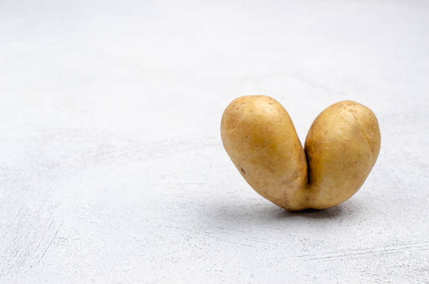 podły ziemniaki w kształcie serca na szarym tle, kopiuj miejsce spacji - heart shape raw potato food individuality zdjęcia i obrazy z banku zdjęć