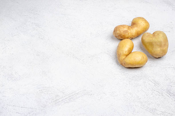 podły ziemniaki o różnych kształtach na szarym tle, kopiuj przestrzeń - heart shape raw potato food individuality zdjęcia i obrazy z banku zdjęć