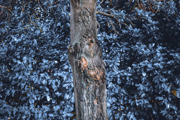 istock Nature of intense colors. 1206267200