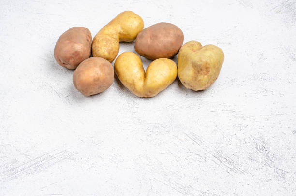 灰色の背景に異なる形状の卑劣なジャガイモ、コピースペース - heart shape raw potato food individuality ストックフォトと画像