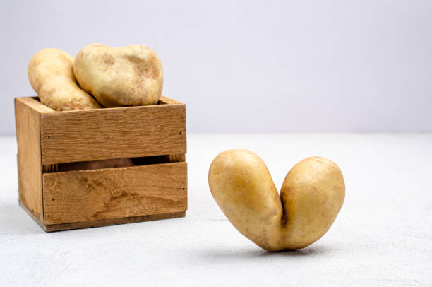 灰色の背景に木箱の異なる形状の卑劣なジャガイモ、コピースペース - heart shape raw potato food individuality ストックフォトと画像