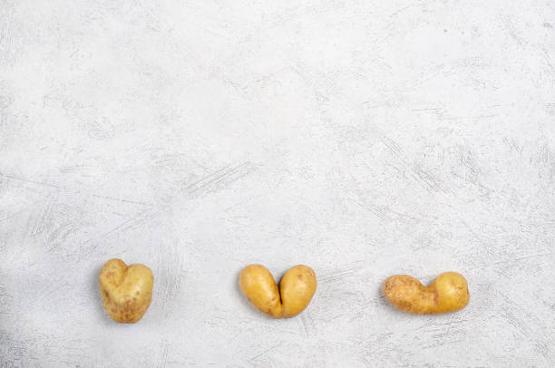 灰色の背景に異なる形状の卑劣なジャガイモ、コピースペース - heart shape raw potato food individuality ストックフォトと画像