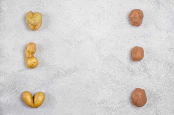 灰色の背景に異なる形状の卑劣なジャガイモ、コピースペース - heart shape raw potato food individuality ストックフォトと画像