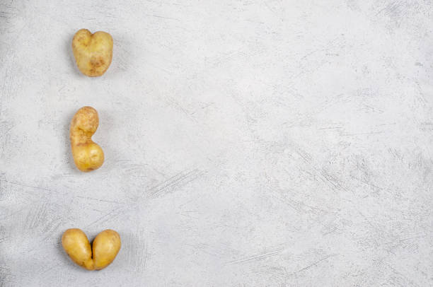 podły ziemniaki o różnych kształtach na szarym tle, kopiuj przestrzeń - heart shape raw potato food individuality zdjęcia i obrazy z banku zdjęć