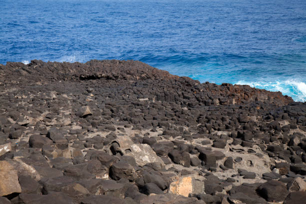 istock Gran Canaria, La Isleta peninsula, volcanic rock 1206268328