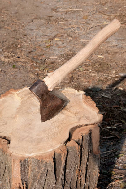 istock Axe stuck in piece of wood 1206271290