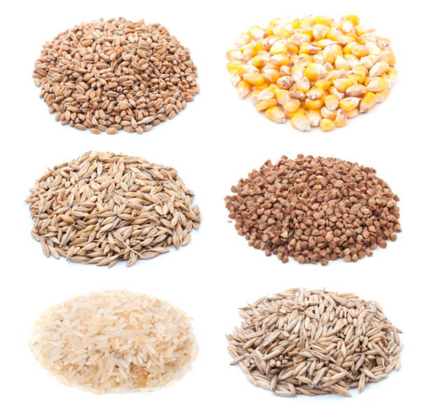 istock Cereals and grains isolated on white background 1206271326