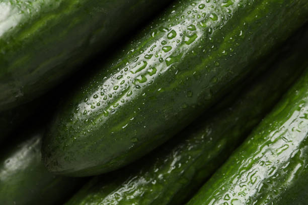 istock Fresh cucumbers with water drops texture background, close up 1206271715