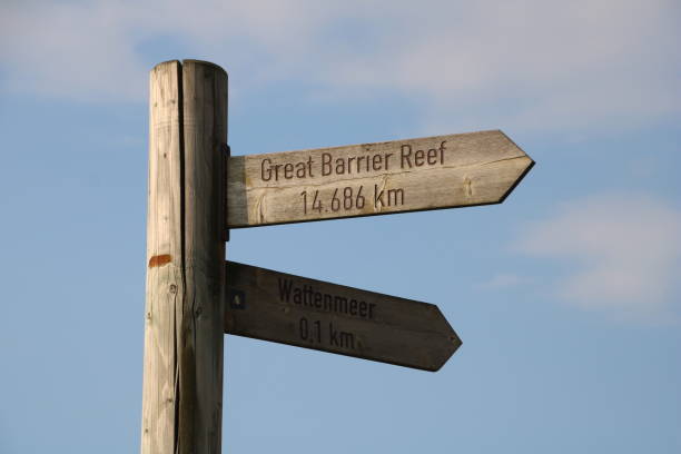 istock Signpost to the great barrier reef 1206273767