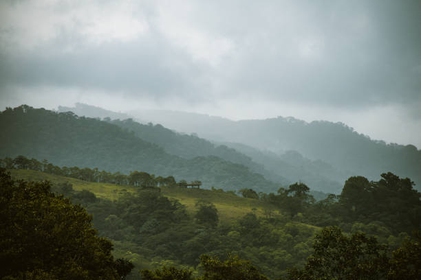 istock Costa Rican nature and landscapes 1206275004