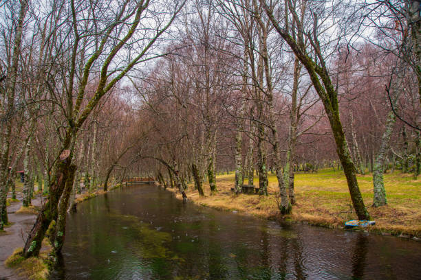 istock Covao da ametade Serra da Estrela Portugal 1206275176