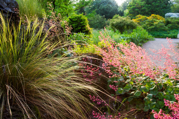 istock Lovely  green nature  in  Botanical Park Flora 1206278007