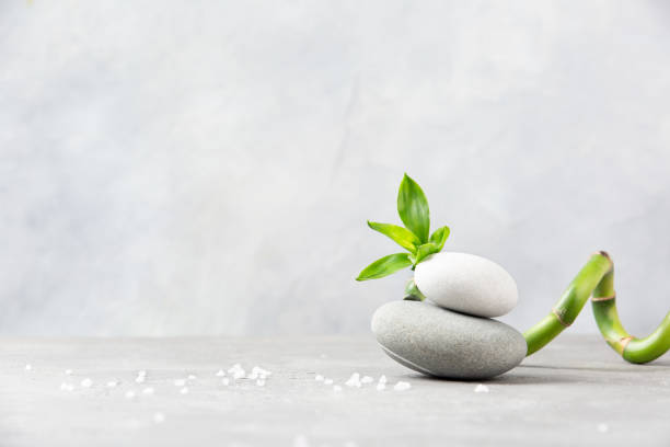 istock Spa concept. Bamboo, sea salt and sea stones on grey background. Copy space. 1206279740