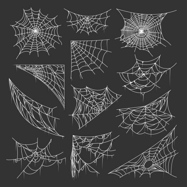 Bundle of spider webs or cobwebs of different shapes Bundle of spider webs or cobwebs of different shapes. Collection of gothic, spooky or creepy decorative design elements isolated on dark background. Monochrome vector illustration for halloween. spider web stock illustrations