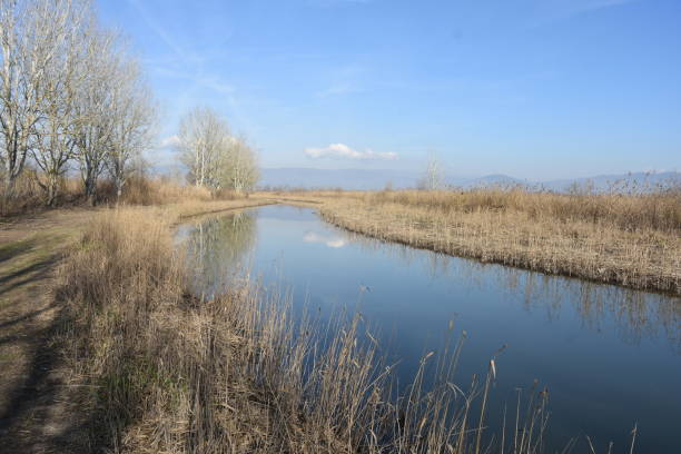 istock Tuscany: wetland of Fucecchio 1206280749