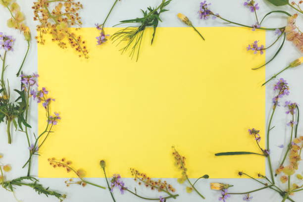 istock Floral spring season frame border with copy space. Yellow flat Lay composition 1206282164
