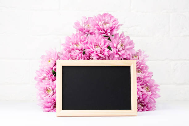 istock Pink flowers and chalkboard frame on white background. Romantic background for Valentine Day, Mothers Day or Birthday. Top view. Space for text. 1206283459