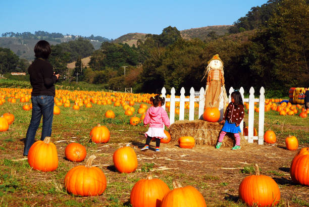 семья любит сбор тыквы - child autumn scarecrow decoration �стоковые фото и изображения