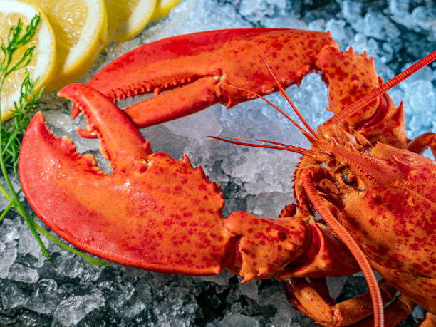 istock Steamed lobster seafood on ice 1206285849