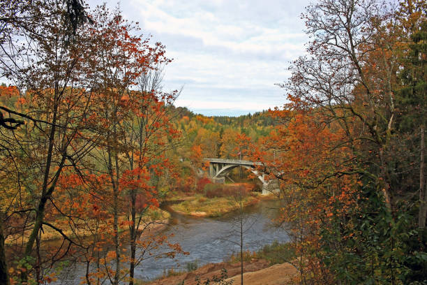 istock Autumn in Sigulda, Latvia 1206291548
