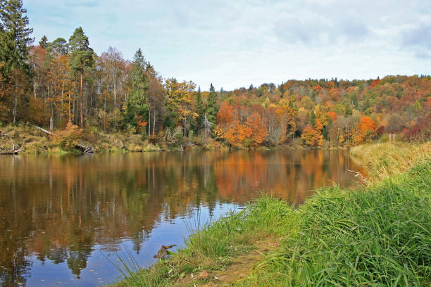 istock Autumn in Sigulda, Latvia 1206291556