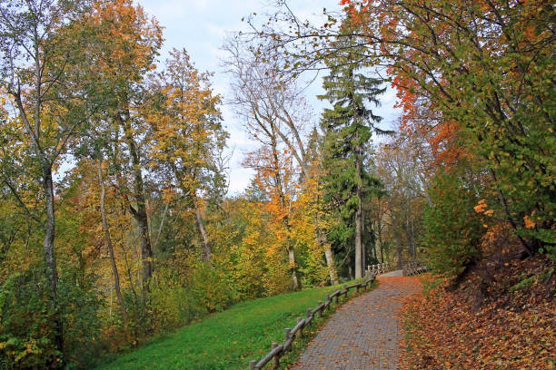 istock Autumn in Sigulda, Latvia 1206291572