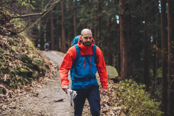 istock Man hiking in Japanese forest 1206291712