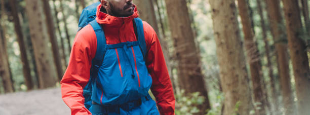 istock Man hiking in Japanese forest 1206291717
