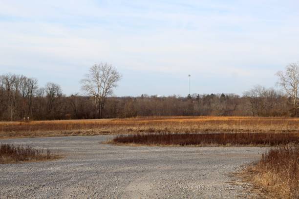 istock Gravel Road in the Field 1206297829