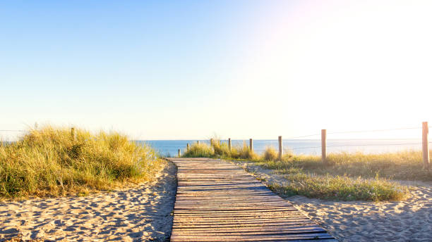 sentiero che conduce alla spiaggia con il mare sullo sfondo. - beach sunset sand wood foto e immagini stock