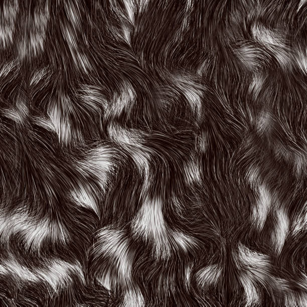 Spotted long-haired animal skin with white spots.Texture or background