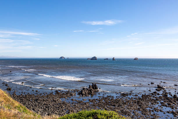istock Oregon Coastal Landscape 1206300110
