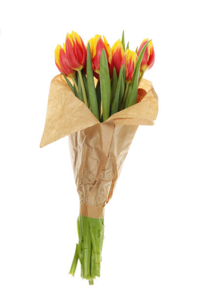 istock Bunch of tulips 1206300212