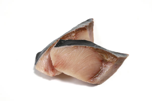 yellowtail fillets in a white background stock photo