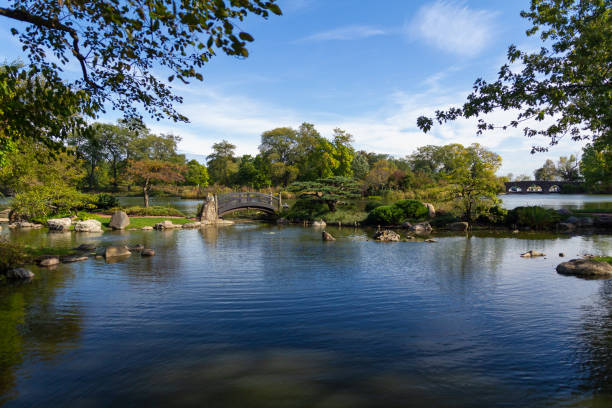 bridge and pond in the garden of the phoenix (osaka garden) in chicago, il - japanese culture landscape landscaped ornamental garden imagens e fotografias de stock